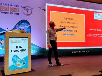 cachev na kongres v turcia 3